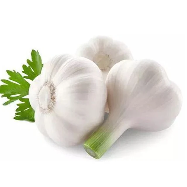 2023 Garlic Fresh Garlic White Pure White Garlic Wholesale Price 0.03 Kg 5.5 Cm COMMON Cultivation