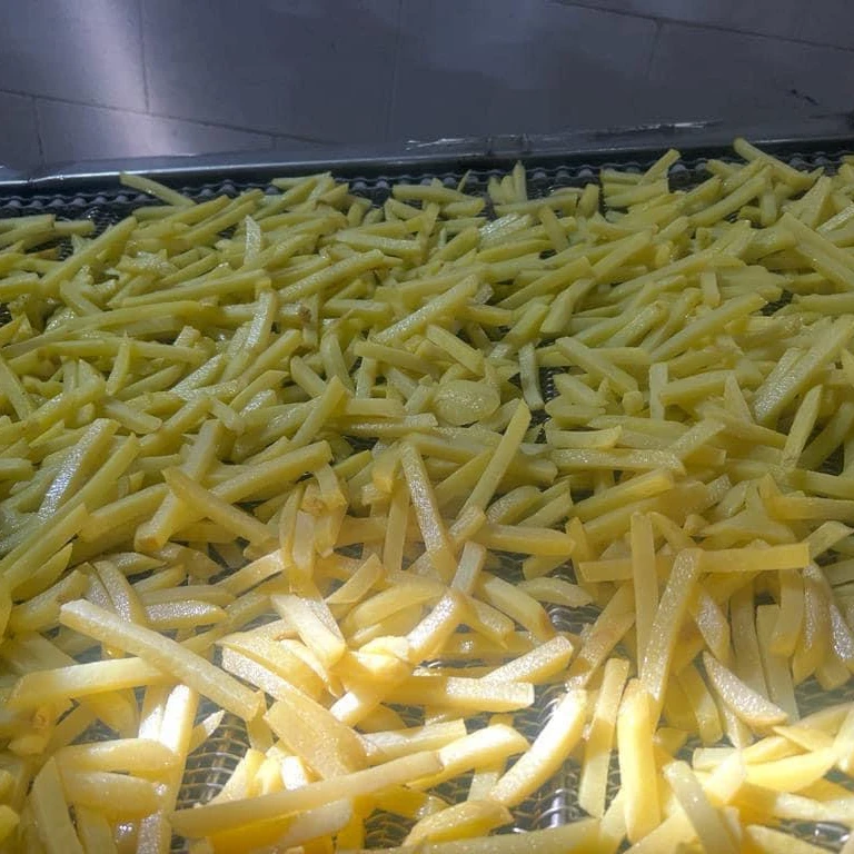 French Fries top quality for wholesale with low price