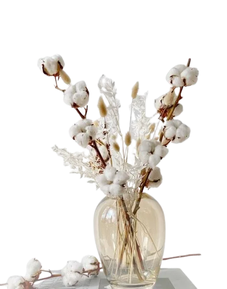 High Quality Wholesale Natural Cotton Dried Flower for DIY, Events Decor Real Touch Cotton