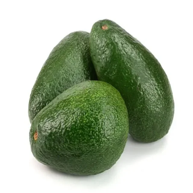 Trusted professional partner Fresh Avocado For Export With The Best Price Standard High avocado fresh avocados
