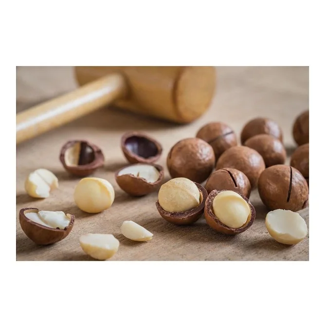 Заводская цена орехи макадамия опт жареные