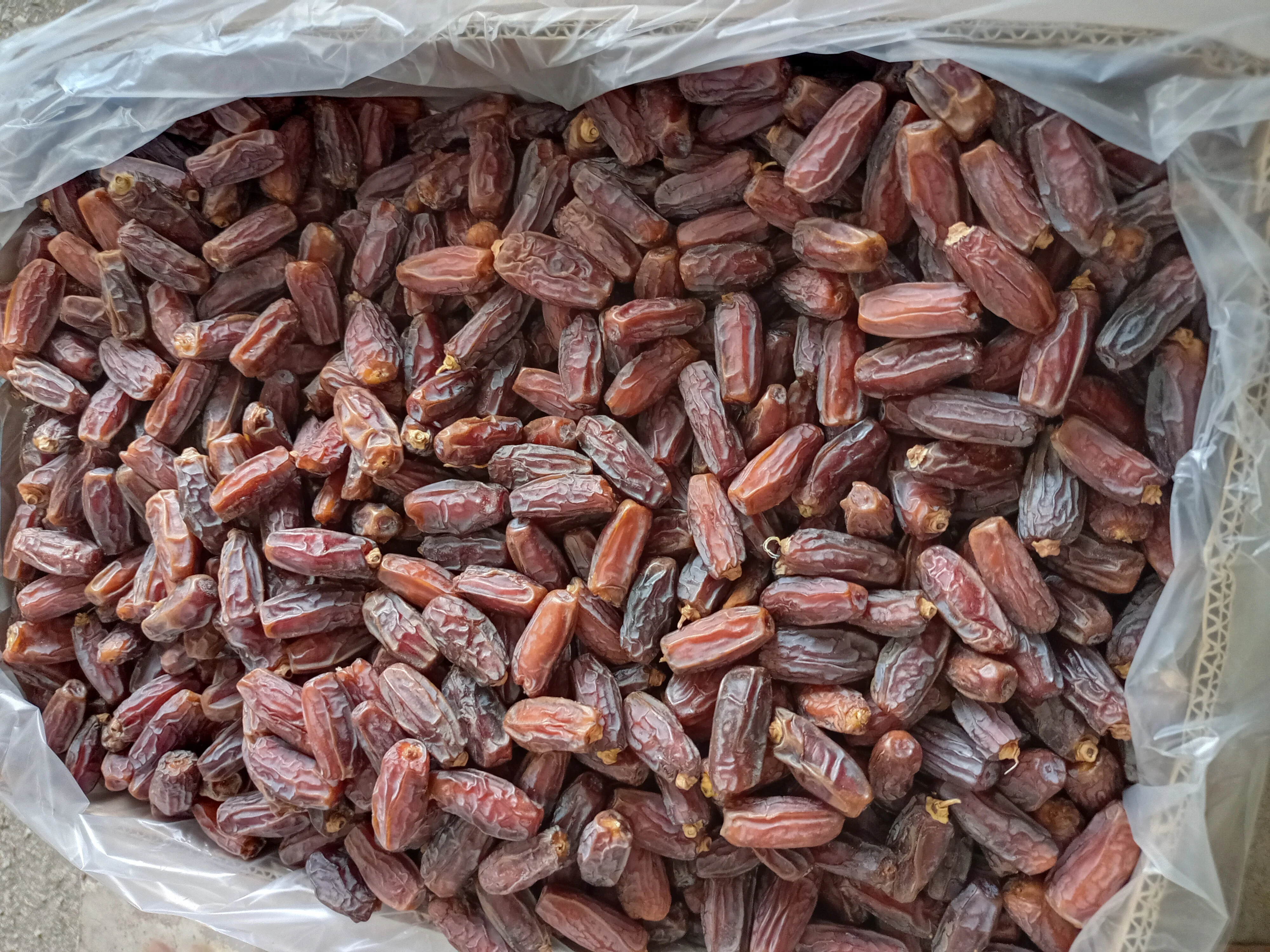 Yezao Top supplier of dates to global market Mabroom dates Saudi Dates available 5 kg packing and 24 kg packing box Ye zao