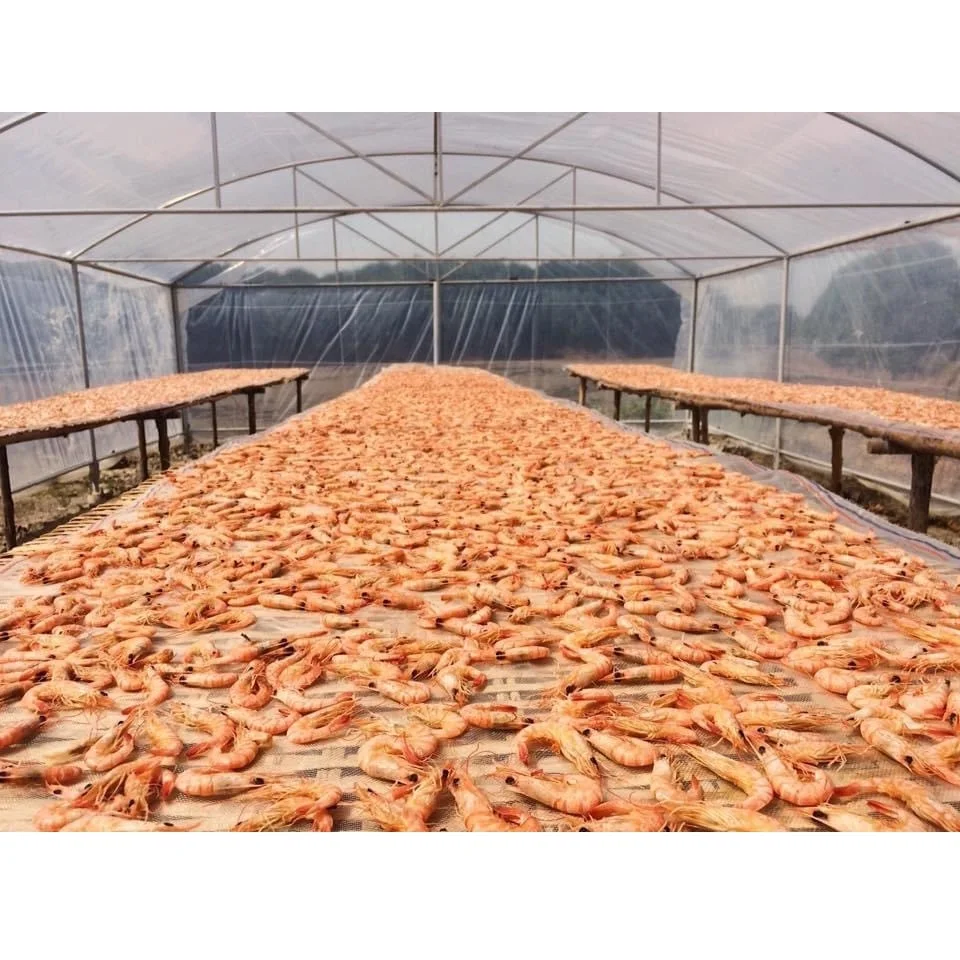 5 months Shelf Life Wholesale Best Price High Quality Vietnam Vacuum Pack Seafood Certificated Vietnam OEM Dried Shrimp