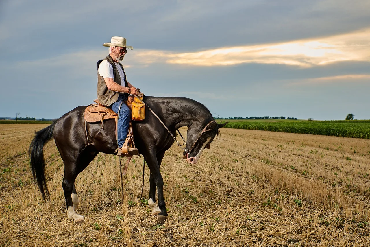 Premium Quality Western Show Saddle: Make Every Ride Memorable for Elevate Your Riding Experience with Classic Design