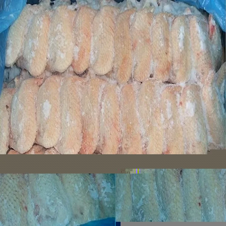 Halal Wholesale Frozen Chicken Wings For Sale at Best Price