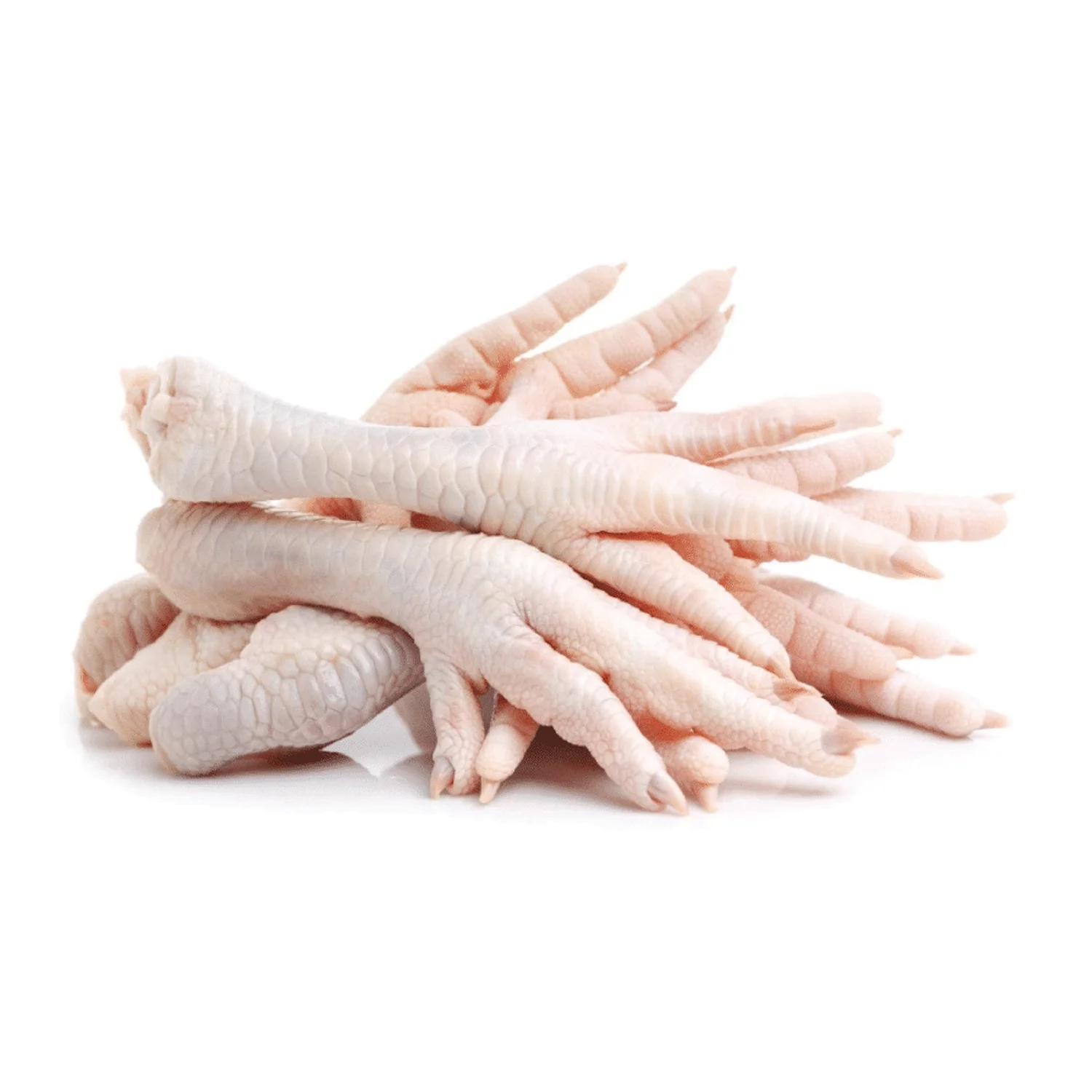 standard quality 680 tons Frozen chicken Feet and Frozen chicken Paws