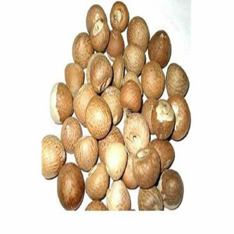 Organic Dried Betel Nut Top Supplier Hot Selling Factory Price Betel Nuts/ Areca Nuts New (1600553279809)
