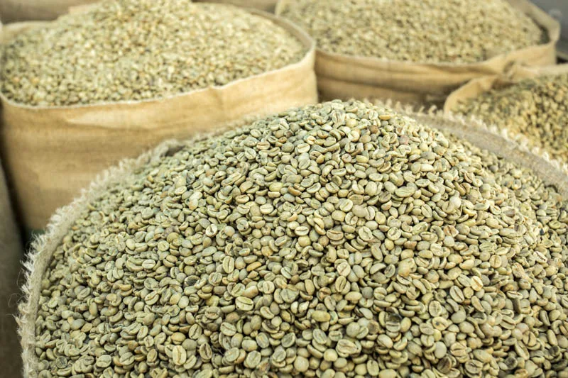 VIETNAM NATURAL SCREEN 16 WET POLISHED ROBUSTA GREEN COFFEE BEAN Wholesale WHATSAP 0084989322607