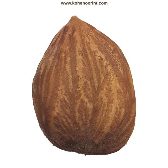 Apricot Kernels ~ Prunus armeniaca Abrikozenpitten 15Kg and 01 Kg Bags