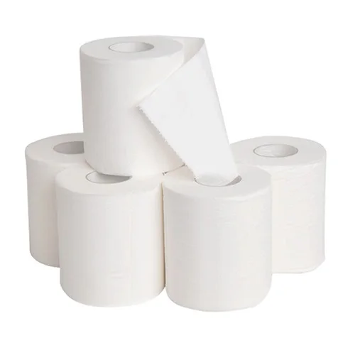 Toilet Paper 2.jpg