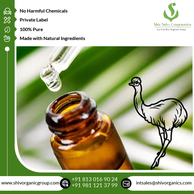 Indian Exporter of Top Quality Wholesale Cosmetic Grade 100% Pure and Natural Emu Oil at Reasonable Market Price