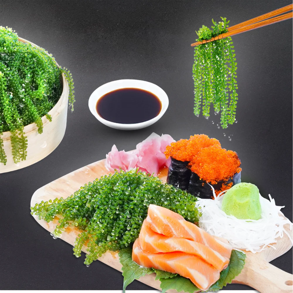 Dehydrated Sea Grapes Vegan Food 100% Natural Sea Grape Dried Longevity Hot Selling Iso Certification Packaging In Carton Box