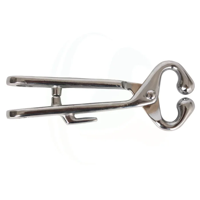 Veterinary Instrument Cattle Pillar Bull Nose Holders Bull Holder Stainless Steel
