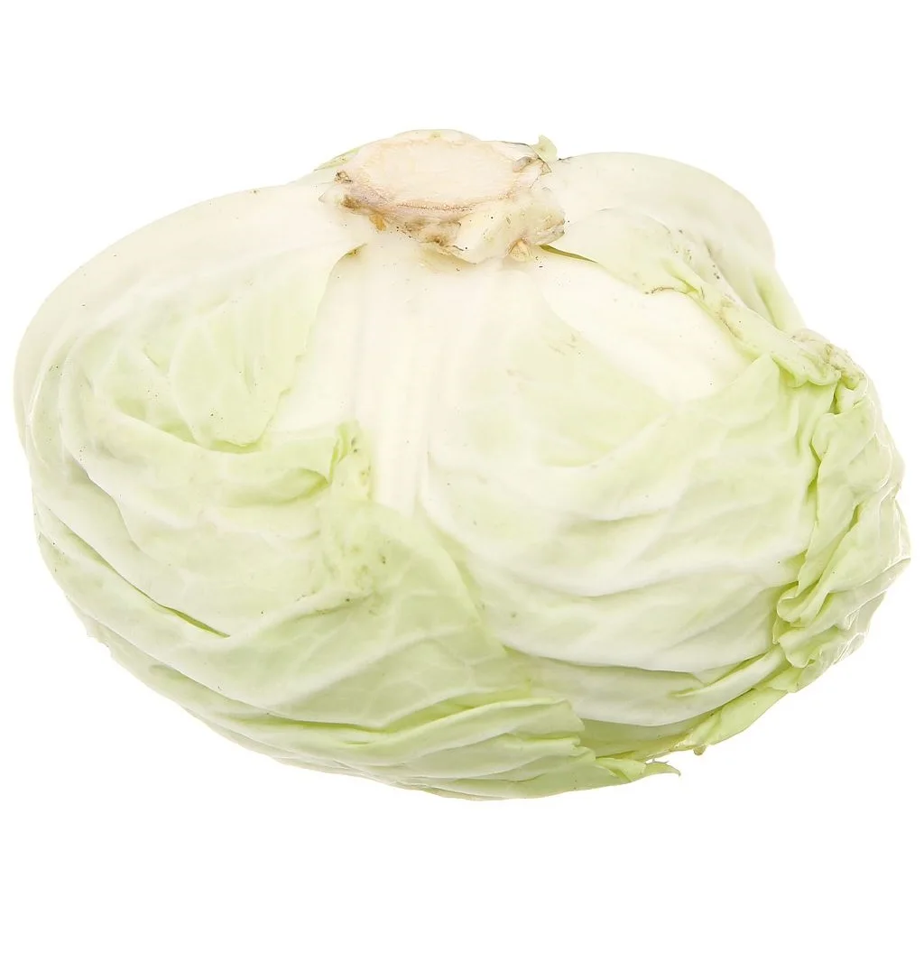 Best Price Fresh Vegetables Common Cultivation Export Quality White Natural Fresh Cabbage From Vietnam