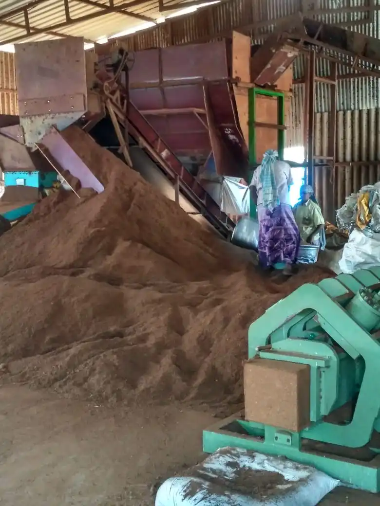 Supplier Of Organic Coco Peat High Quality Low EC Compressed 5 KG Coco Peat Bricks At Cheap Cost