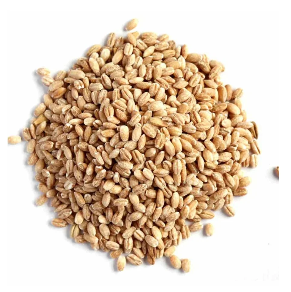 100% Barley Seeds/Animal feed barley/bulk barley grains at affordable price