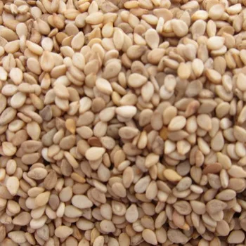 NATURAL SESAME SEEDS FOR SALE
