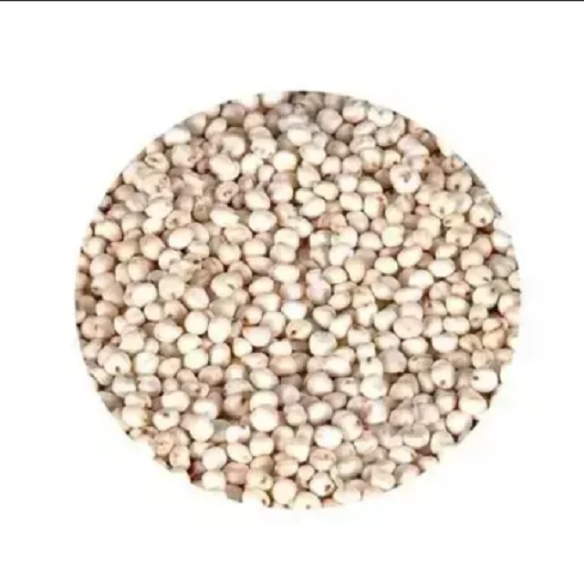 Премиум сорго зерна белого и красного цвета индийский сорго/белый красный высокого качества для продажи