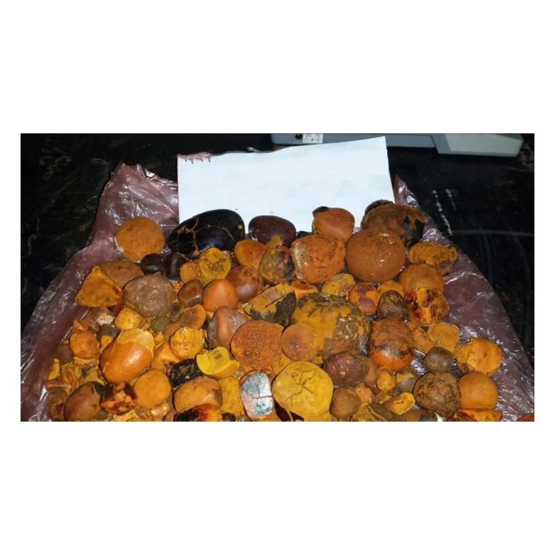 Ox Gallstones 80/20 Cow/Ox Cattle Gallstones Extract Venom Tallow Bile Beef Fish Protein in Powder Form