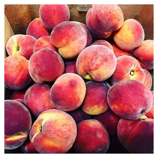 Premium Quality Organic Juicy Sweet Fresh Peaches Organic Natural Peach Fresh Fruit For Sales best price