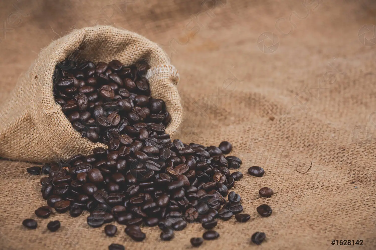 Super Italian Quality Arabica Roasted Coffee Beans Blend for Espresso from America Africa 0 5kg Bags Max African Caffeine City