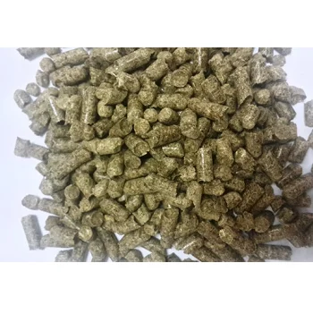 Hot Sale Yellow Corn For Animal Feeding / Human Consumption/Best quality Non GMO yellow corn