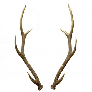 Large Red Deer Antlers/ Red Deer Antler, Taxidermy, Dog Chew, Craft