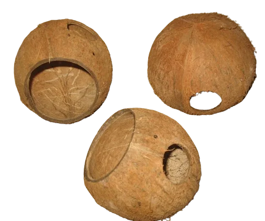 Sri Lankam Premium Coconut three quarter shell ideal for small animals eco-friendly and breathable bulk for sale
