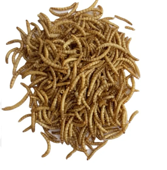 High Protein Dried Yellow Mealworm for Animal Food