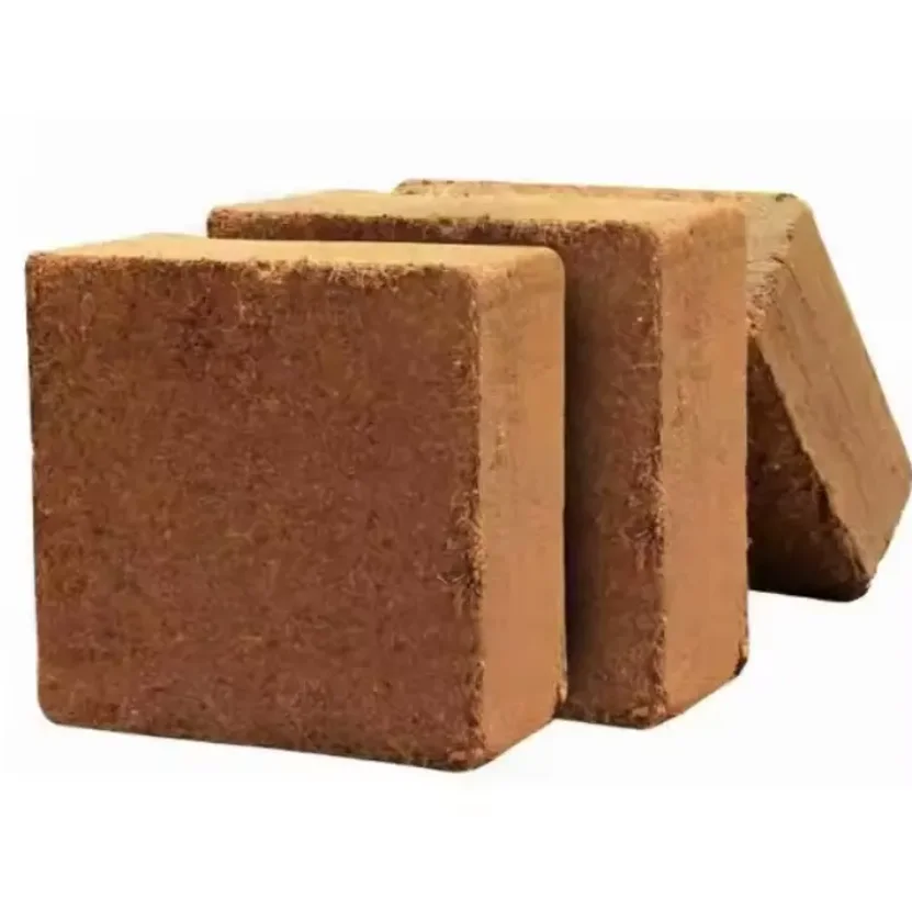 Best Price Coconut Coir Soil Block Cocopeat 5kg for Garden Agriculture Enhances Soil Quality for Potting & Growing