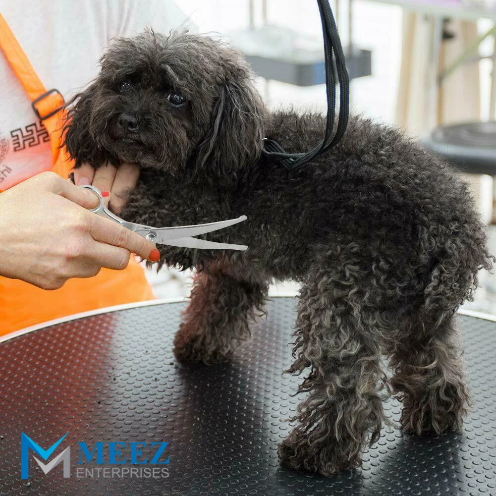 Набор ножниц для груминга собак и кошек безопасные ножницы с круглым наконечником ушей лап инструмент красоты