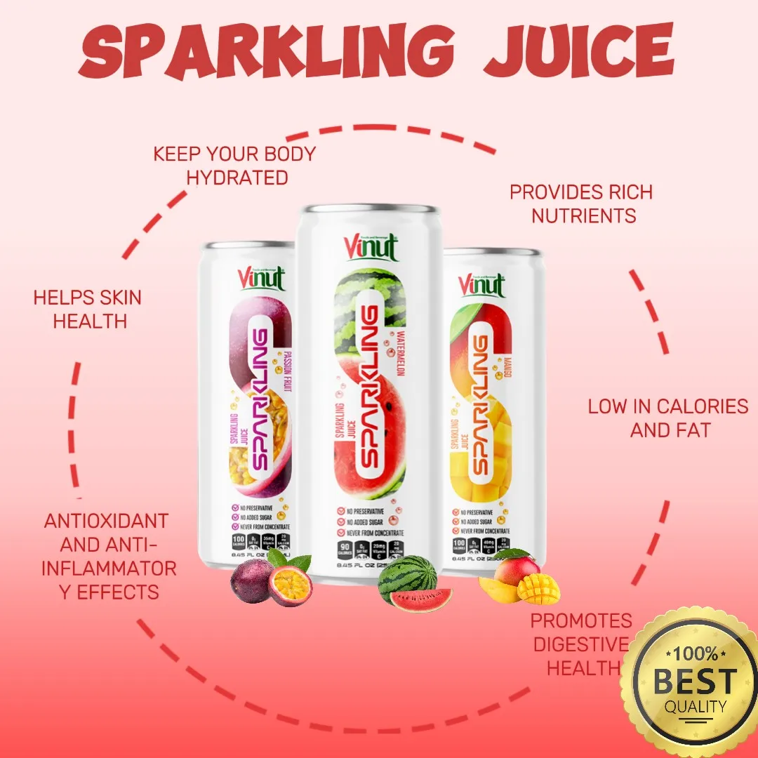 Wholesale Supplier Sparkling Juice Drink w Watermelon, Mango, Passion| 250ml (Pack of 24) VINUT, Free Sample, OEM ODM