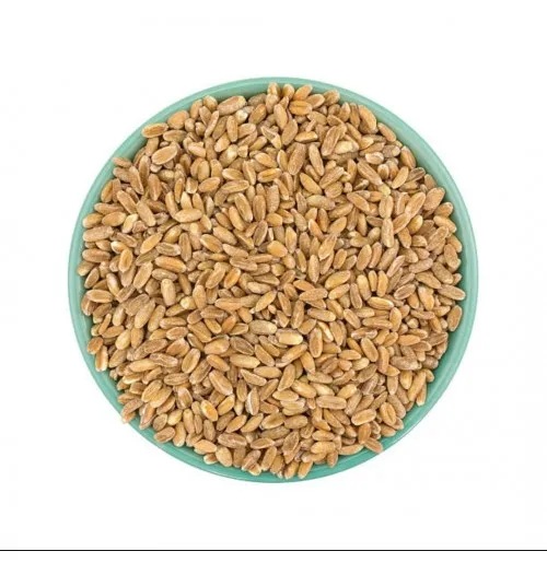 High Quality Organic Soft Wheat Grains in bulk Quantities / Natural wheat Grains