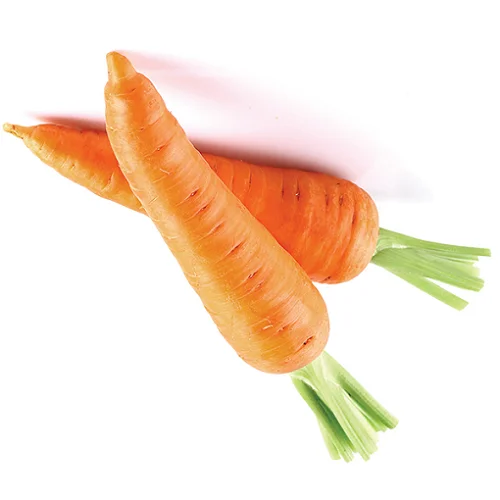 Гладкая кожа свежие моркови из Европы быстрая