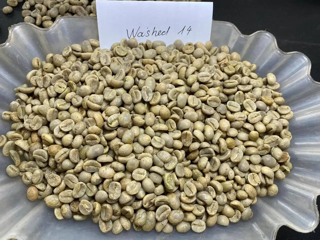 Coffee Bean Hot Sale Coffee Roasted Arabica Robusta Best Selling Coffee At Good Price Robusta Arabica Blend