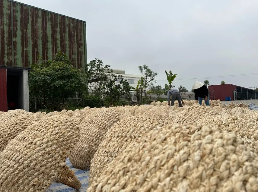 Trending Ladies Handbags Small Handbags 2024 Rattan Handbags OEM/ ODM