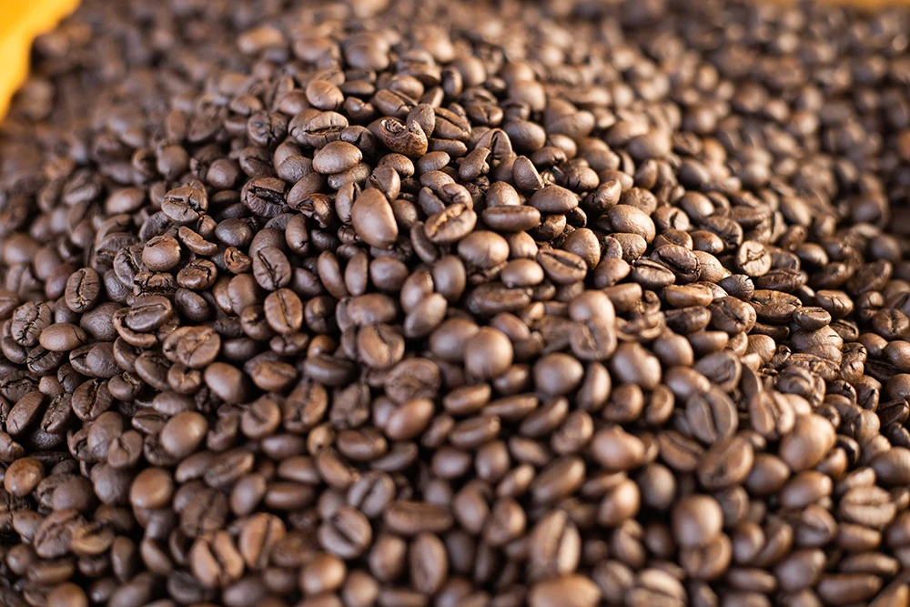 Wholesale Robusta Roasted Bean from Vietnam Coffee Bean Manufacturer Factory Price Premium Grade 16-18 60 Kg COMMON Cultivation