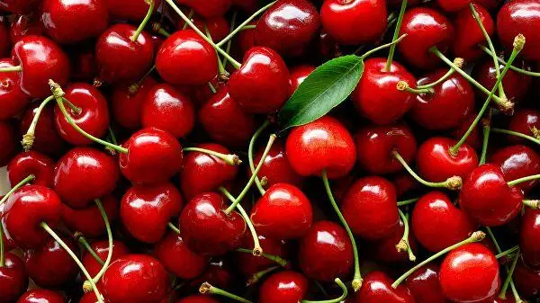 High grade non-GMO sweet cherry wholesale fresh fruits from Uzbekistan new crop fresh cherries for Food