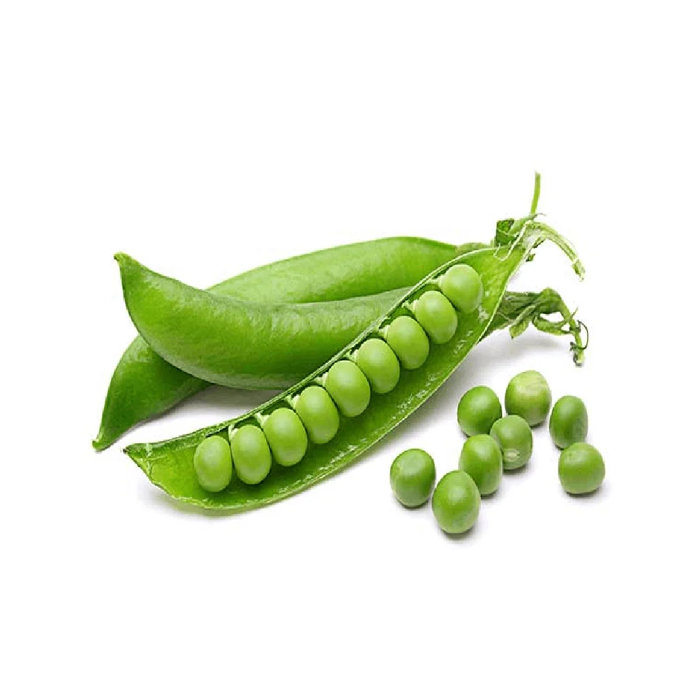 2022 Hot Sale Peas Wholesale High Quality Natural Vegetable Bulk Frozen Green Peas Supplier and Exporter