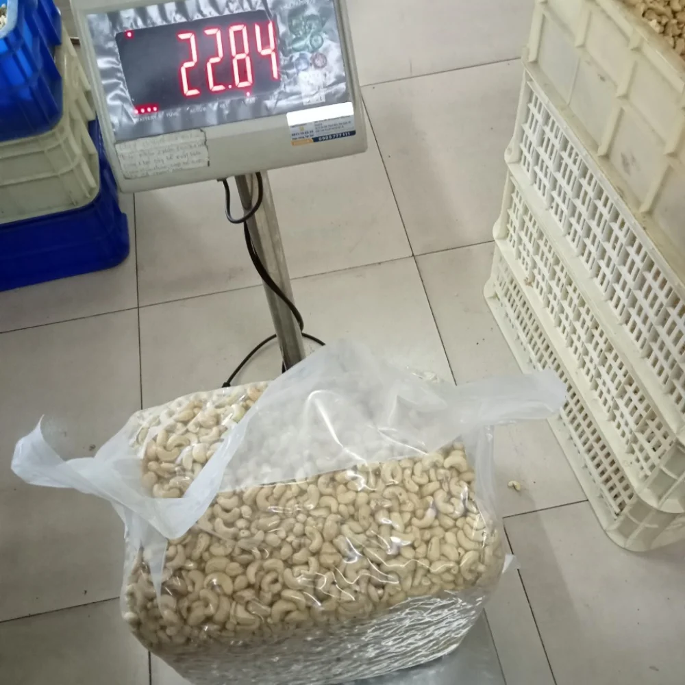 Vietnam Trusted Supplier Kaju Broken Cashew Nuts Cashew Nuts Exported To US, EU, W/S +84909774405 Kai