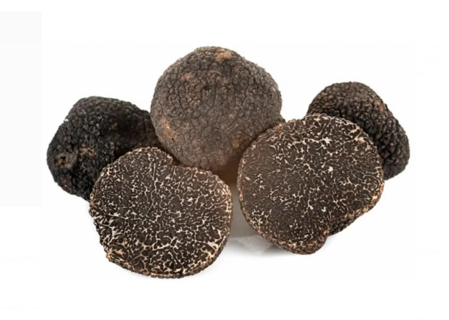 FRESH BLACK WINTER TRUFFLES MELANOSPORUM - FIRST GRADE