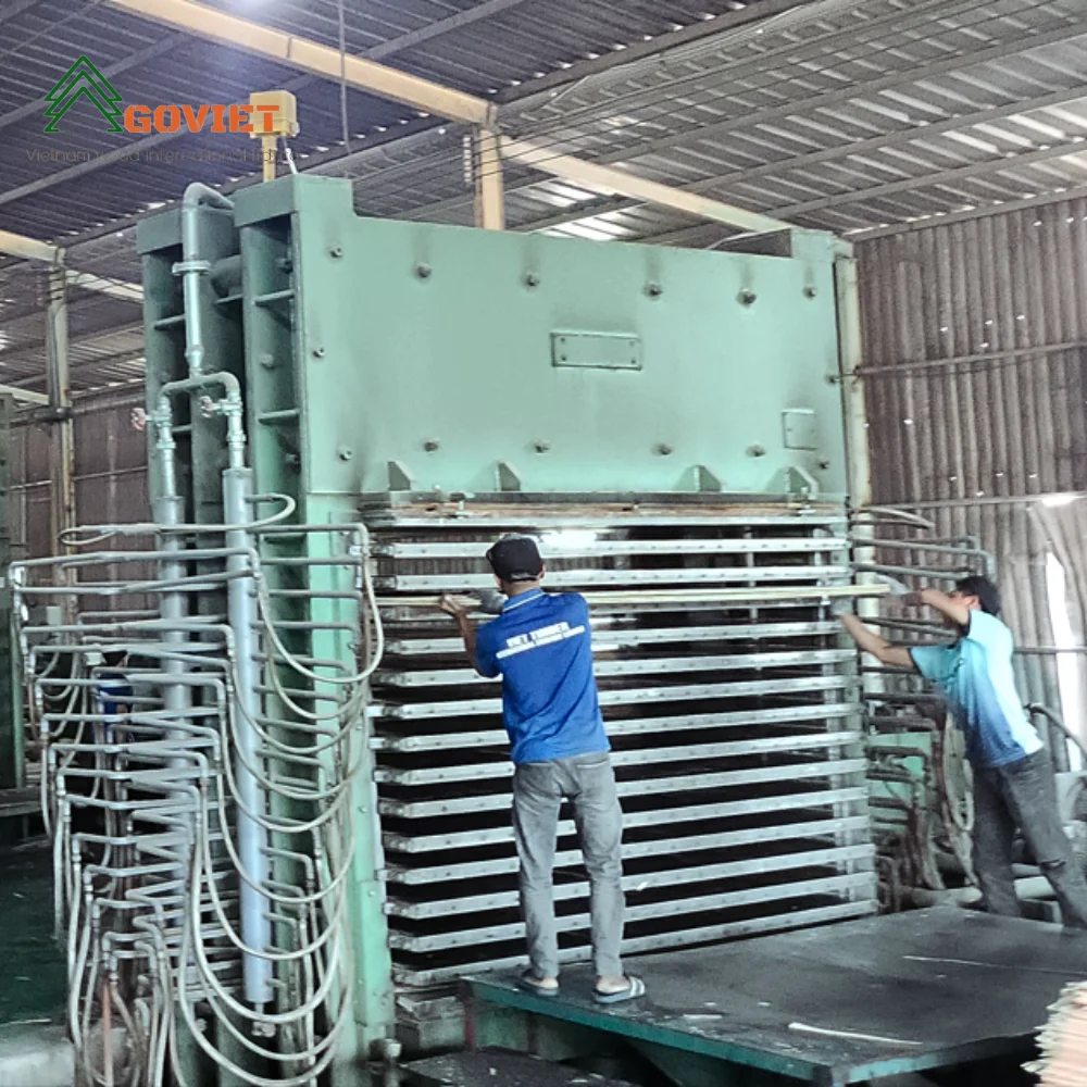 Film faced Plywood 18mm building beams wood Plywood biz back board for interior and exterior wall decoration standard Film faced