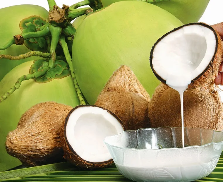 kelapa.jpg