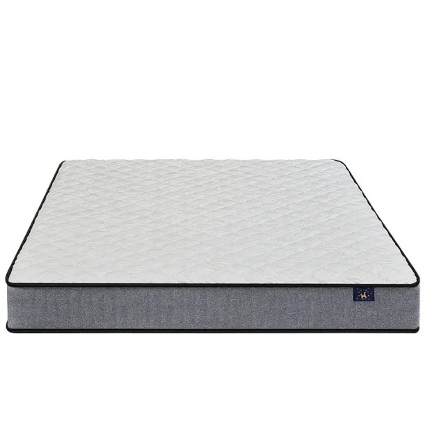 Mattress in a Box Wholesale high quality sale sleep well hotel used memory foam mattress OEM/ODM pocket spring furniture