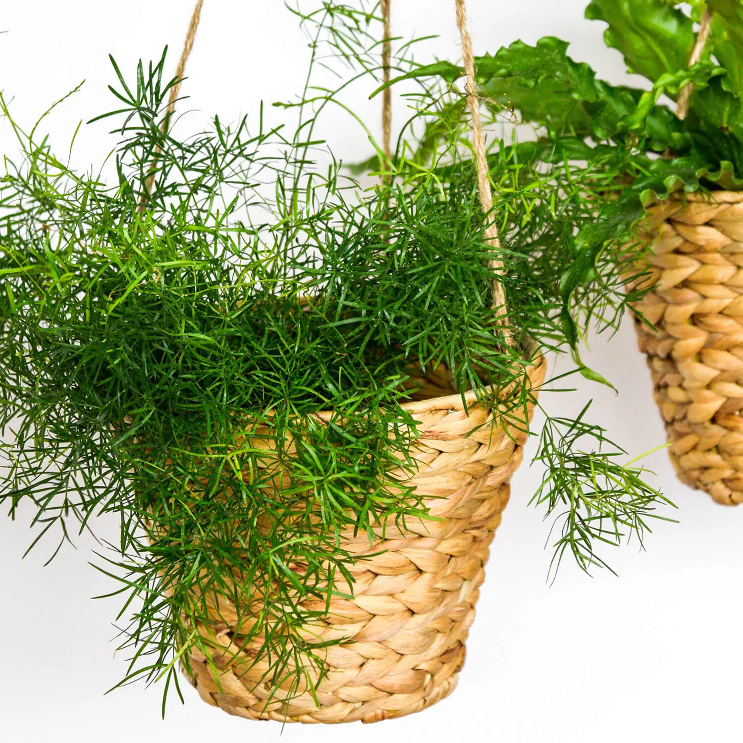 Cheap price water hyacinth plant pot flower eco friendly container pots made in Vietnam wholesale