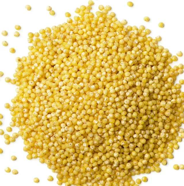 Cheap Price Rich Quality Natural Organic Pure Yellow pearl millet at Attractive Price In Bulk