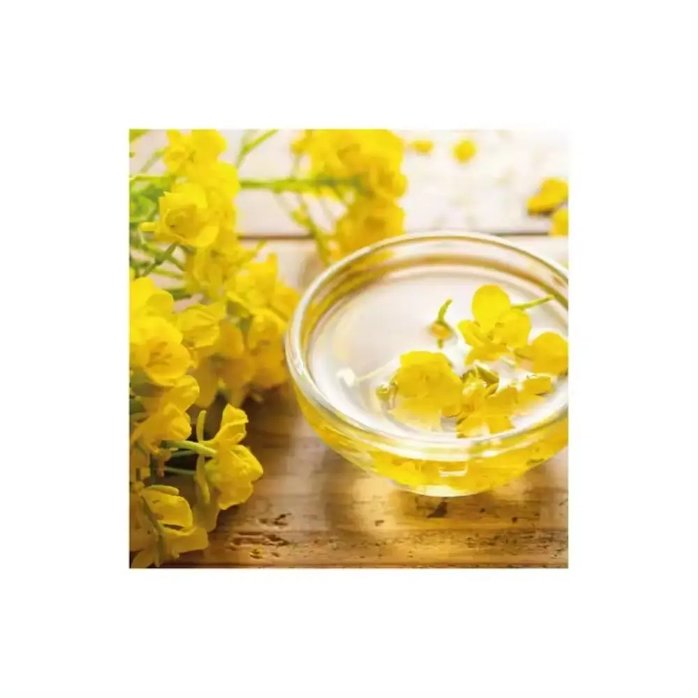 100% High Quality organic canola oil good for cooking  good for cholesterol cold pressed good for health made by Ukraine