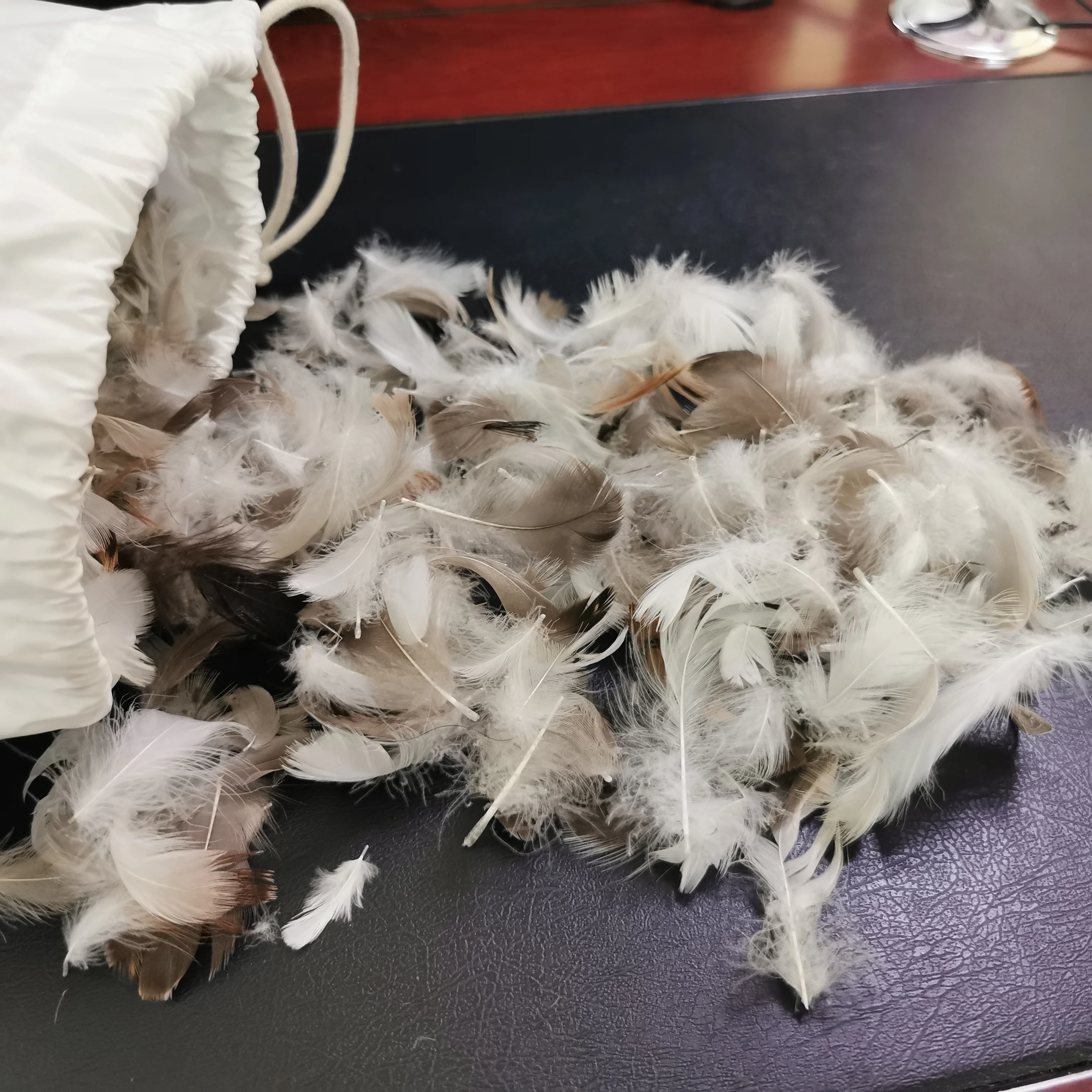 Hot Sale European Standard  Washed Pllume Fluffy 2~4cm Grey Duck Feather