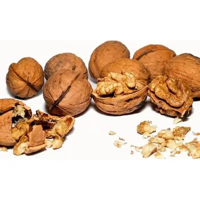 organic walnuts Wholesale  Raw 100% Natural Walnut Nutritious Fresh Quality Assurance Food Walnuts (11000007703475)
