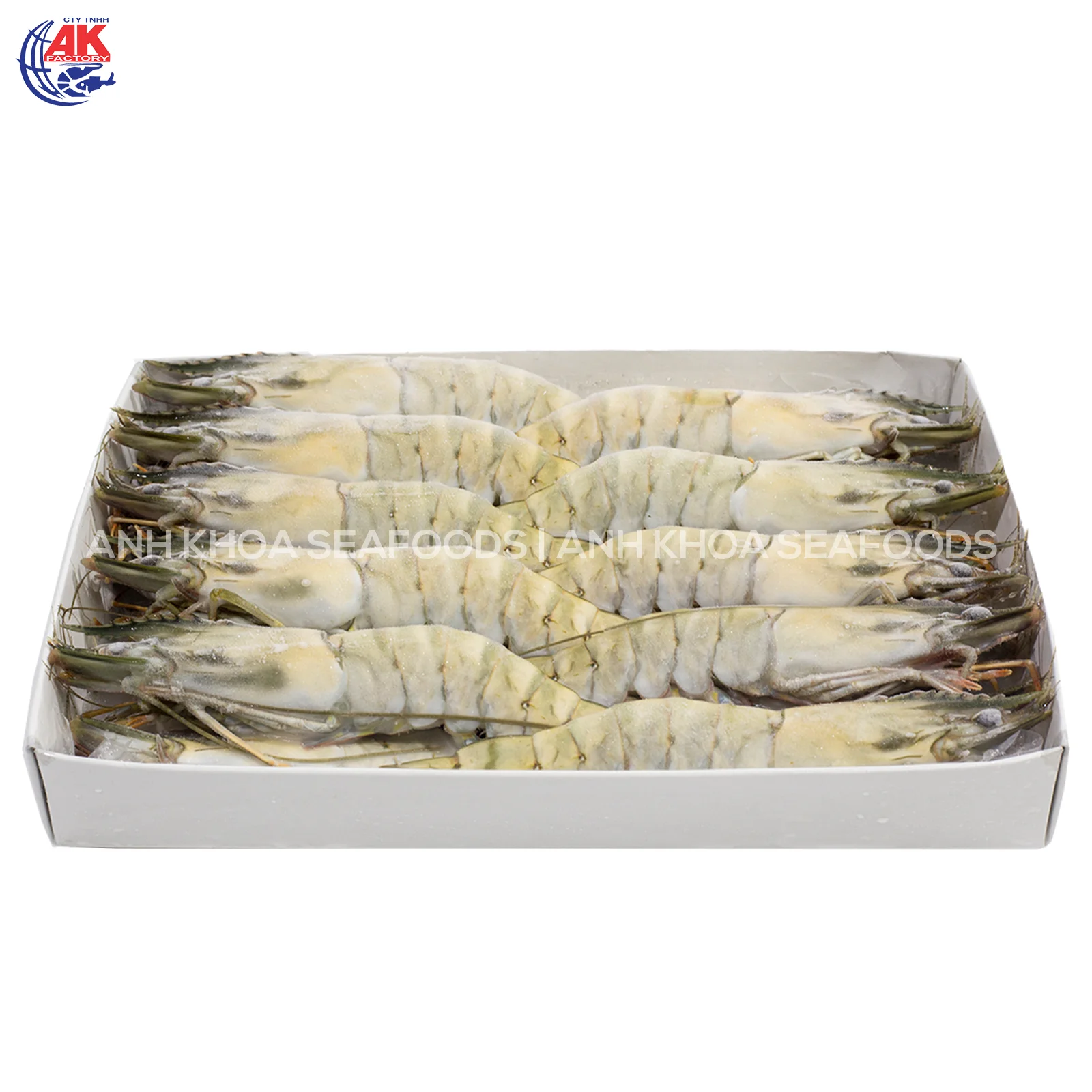 Best Price Seafood Supplier BT/HOSO Fresh Black Tiger Shrimp Head On Shell On With Custom Weight Order Origin From Vietnam